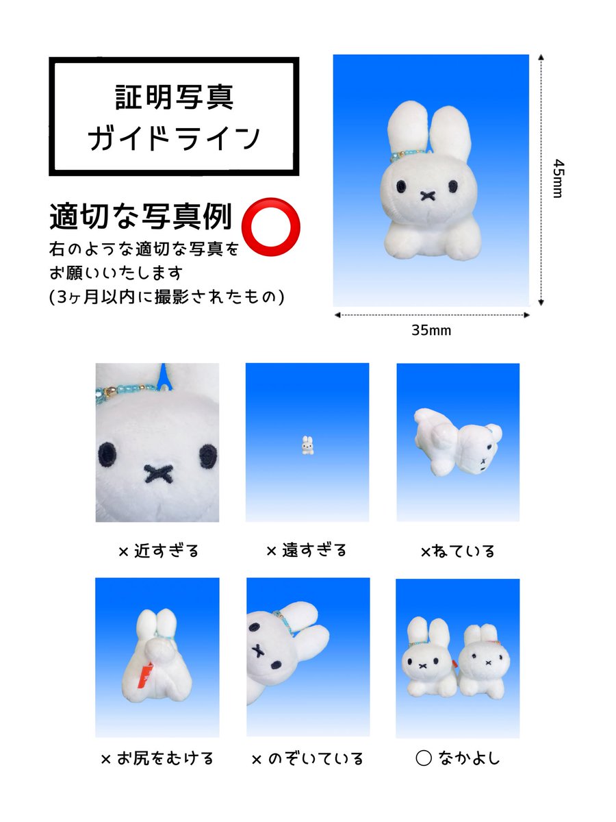 _usataso_'s tweet photo. うさぎの証明写真ガイドライン https://t.co/zM8AKFNWgi