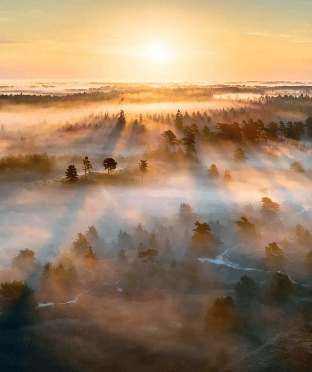 jin02ga4's tweet photo. New to photography Start with mastering natural light—golden hour (1hr after sunrise / before sunset) gives warm, soft tones perfect for beginners to shoot stunning portraits or landscapes! https://t.co/HkIrQ13CVP