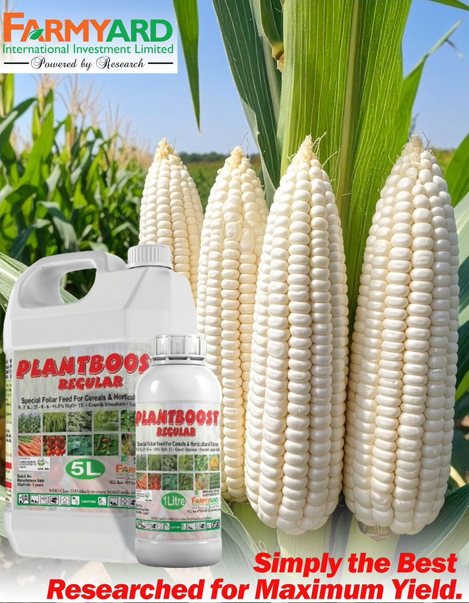 Mcl_kenya's tweet photo. Stronger crops start with better nutrition 🌿
NPK (25:8:6) + MgO + amino acids = faster growth, greener leaves, and higher yields.
Don’t just spray—boost your results every time!
📞 0702 835 405
#PlantBoostRegular #HealthyCrops #Admin1 https://t.co/TTMntCyTC0