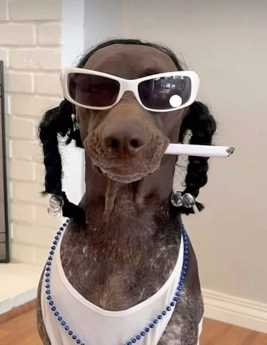 rsenll's tweet photo. ja dzisiaj taki, spoko? zostawcie cos na dole, to napisze wam, jaka piosenka bylibyscie na podstawie konta… nudze sie ‼️‼️ https://t.co/wWrmK5cyYD