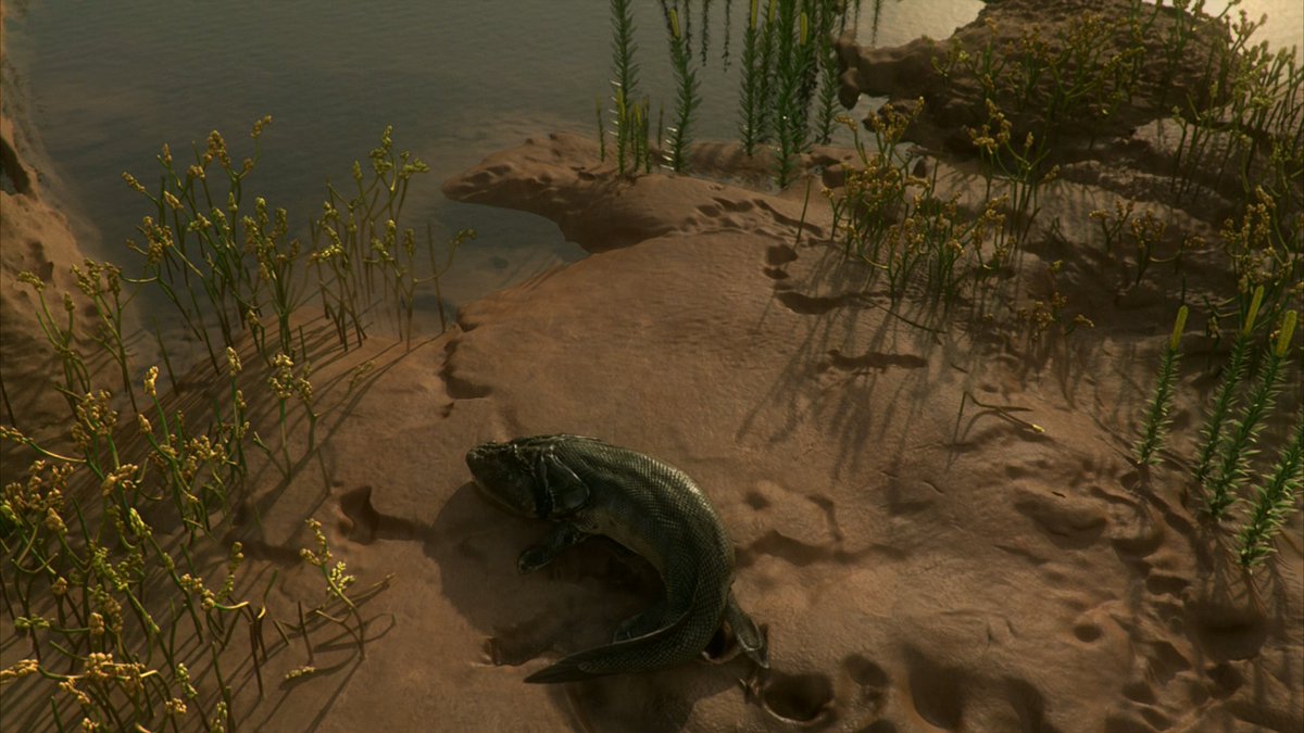 raftingzalmoxes's tweet photo. #EvolutionWithChrisPackham
Thirteen years after David Attenborough's Rise of Animals: Triumph of the Vertebrates (2013), we once again see a member of Elpistostegalia clambering onto dry land... https://t.co/ux1WWYNzf1