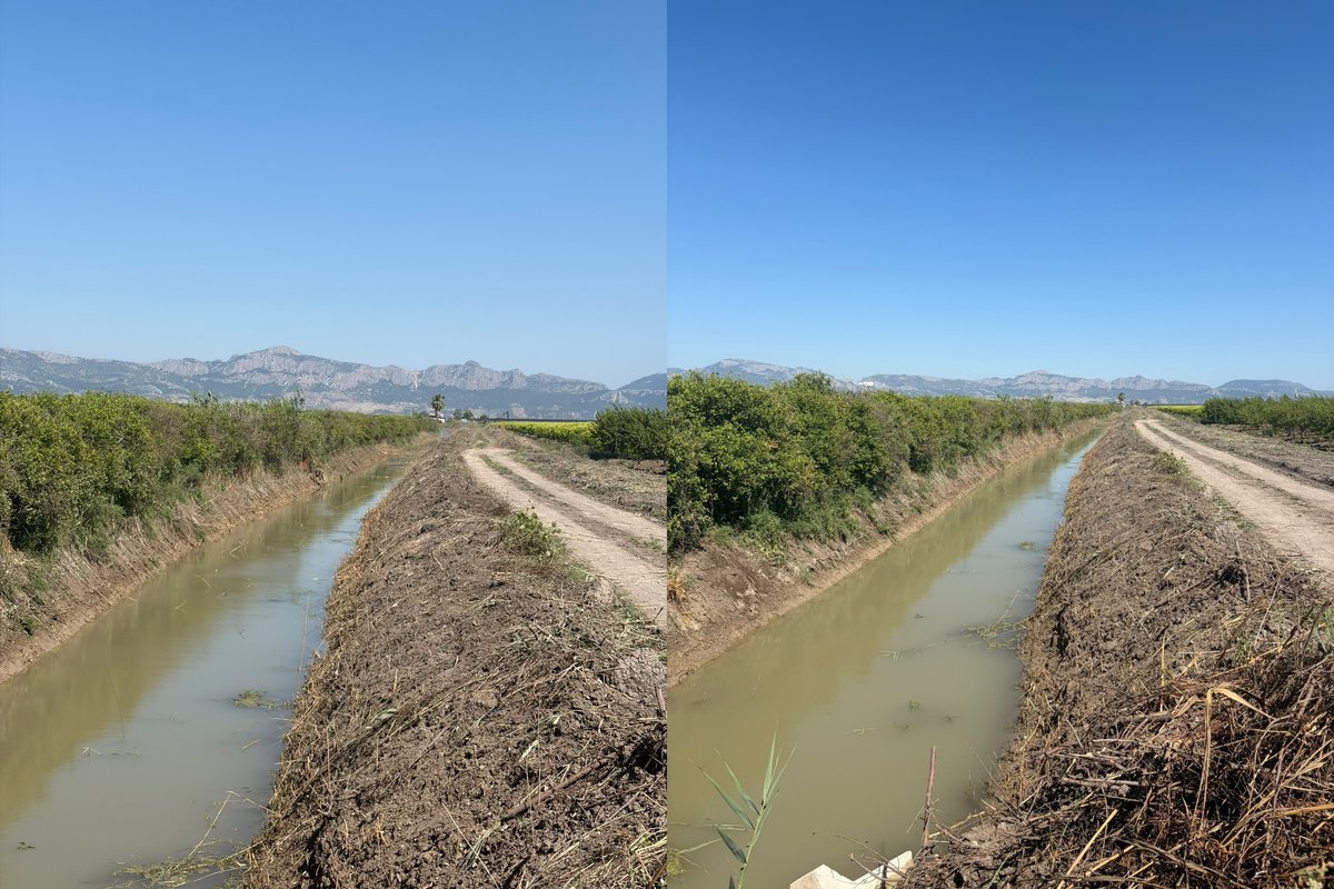 SeyhanSolSahil's tweet photo. Kıymetli çiftçilerimiz 2026 yılı verimli bir sulama sezonu geçirebilmeniz için Sulama Birliği personellerimizle kanal/kanaletlerde yer alan rusubat ve yabancı ot temizliği çalışmalarımızı sürdürüyoruz. https://t.co/i2xlNb4nzp