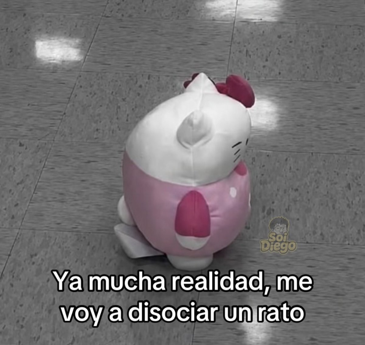 MundoDeBigotes's tweet photo. https://t.co/Qq4JGU0s2j