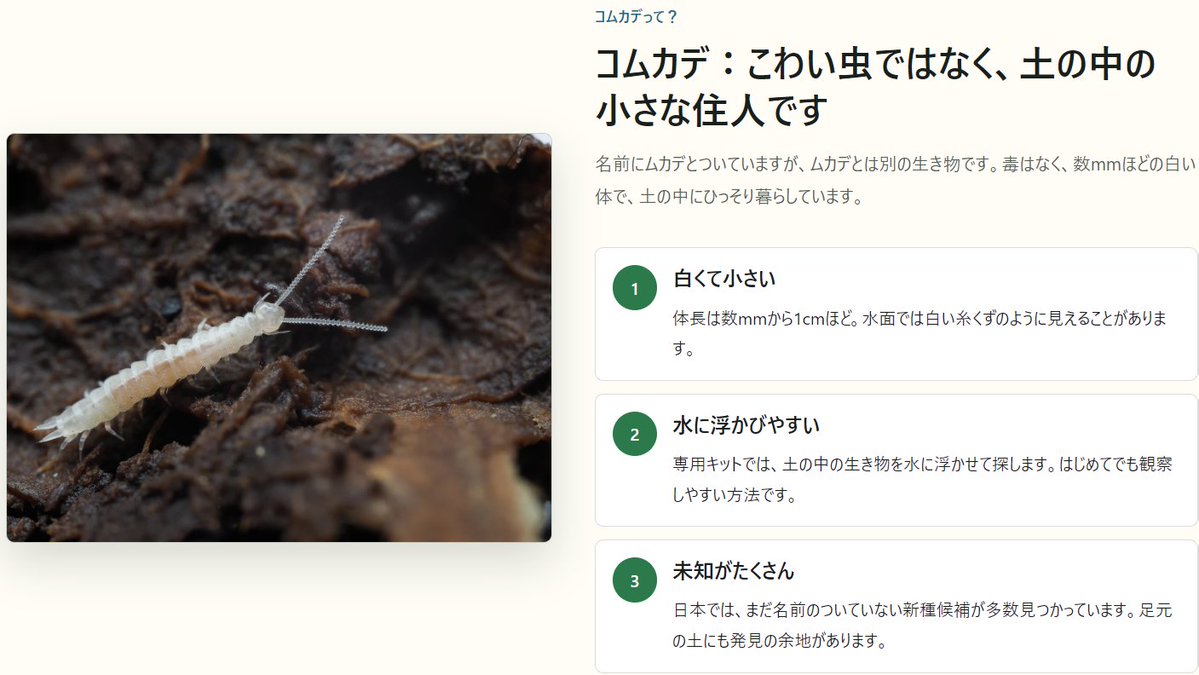 xjoo92's tweet photo. 【市民科学調査ページ紹介①】
コムカデは怖くない。毒ない。ムカデじゃない。
https://t.co/EyEmTV0G0G https://t.co/q0L7H5i9zU