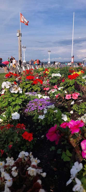 EMULSAGijon's tweet photo. #Buenosdías
#Gijón #Xixón #EMULSA
@gijon @GijonTurismo #gijonmedioambiente https://t.co/1KnLjDEQK6