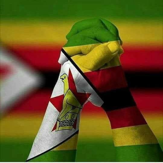 NgarivhumeJ's tweet photo. Fellow Zimbabweans, this is our moment to stand together. Whenever the call has come to unite for the good of our nation, we have never hesitated to take our place at the forefront. We demonstrated this through our commitment to NERA and later to the MDC Alliance, https://t.co/A4GZNuXcmE