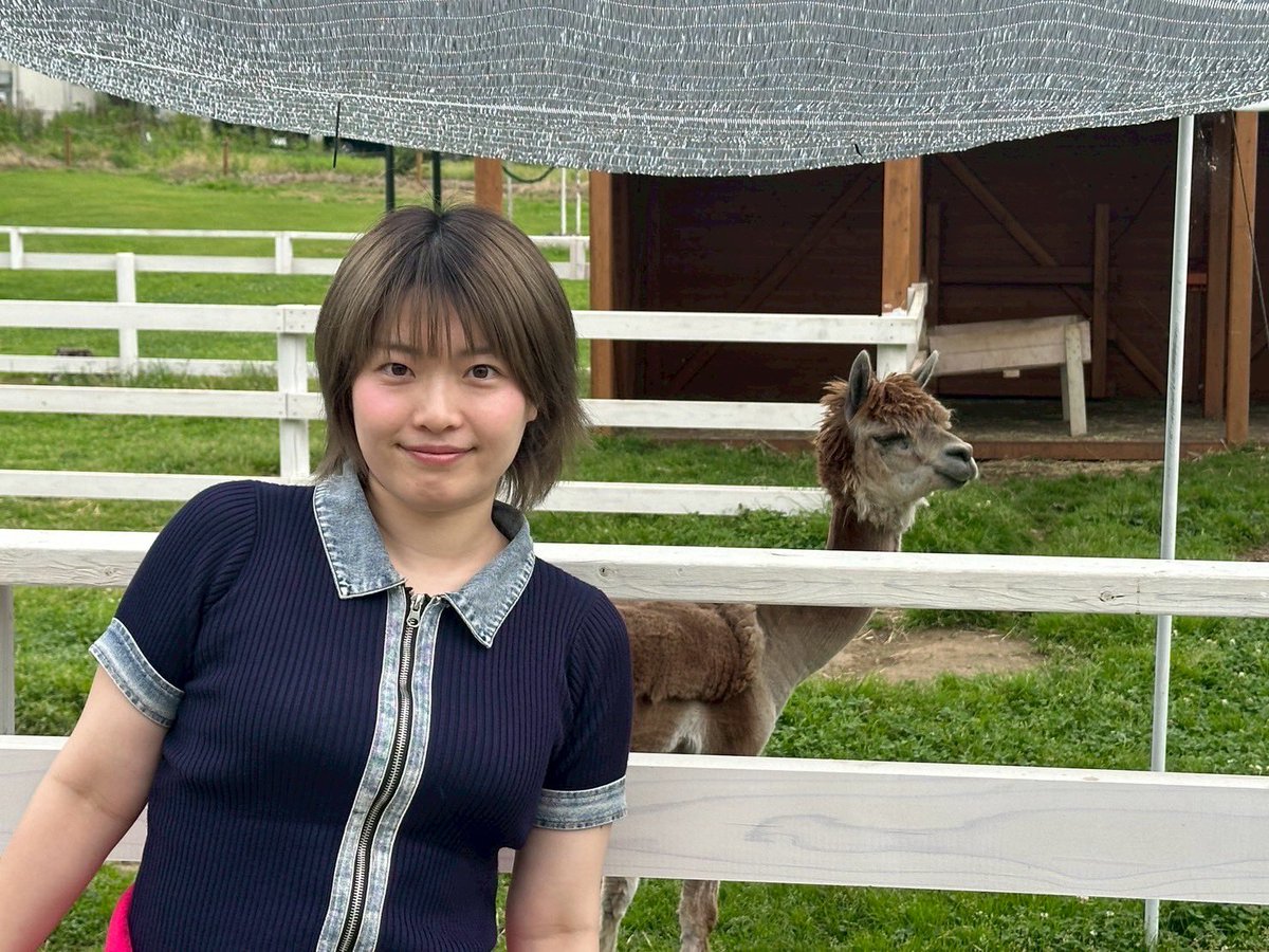 tukemon_'s tweet photo. 2枚目の飽きた感じがツボ🦙 https://t.co/NIzQh6Xfc5