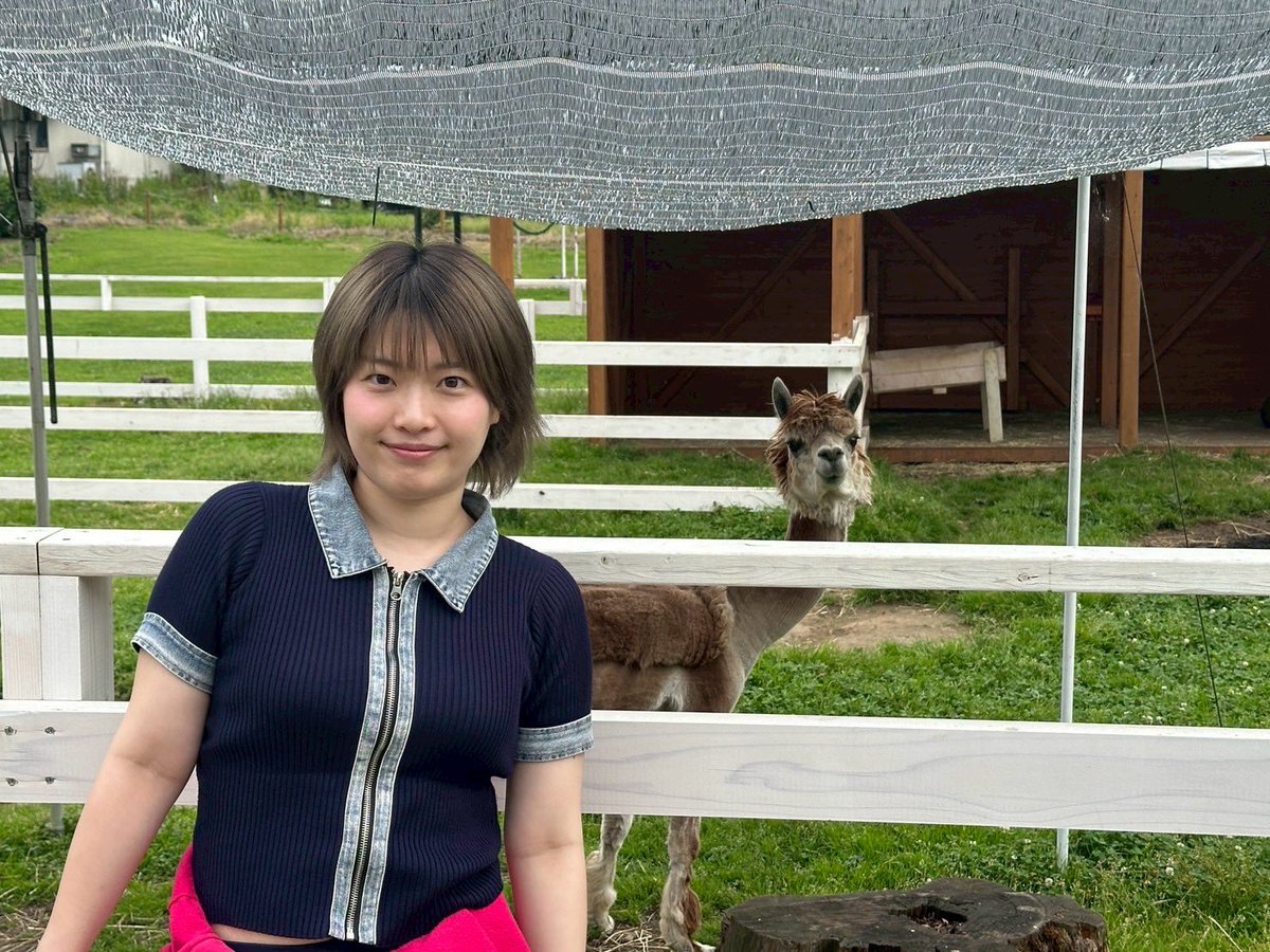 tukemon_'s tweet photo. 2枚目の飽きた感じがツボ🦙 https://t.co/NIzQh6Xfc5