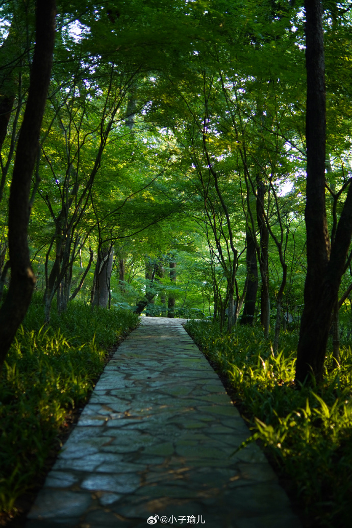 DevonMo21432875's tweet photo. Life’s small setbacks aren’t stop signs—they’re detours that lead to the path you’re meant to take. Keep walking, you’re growing more than you know. https://t.co/cD8SHOW9sv