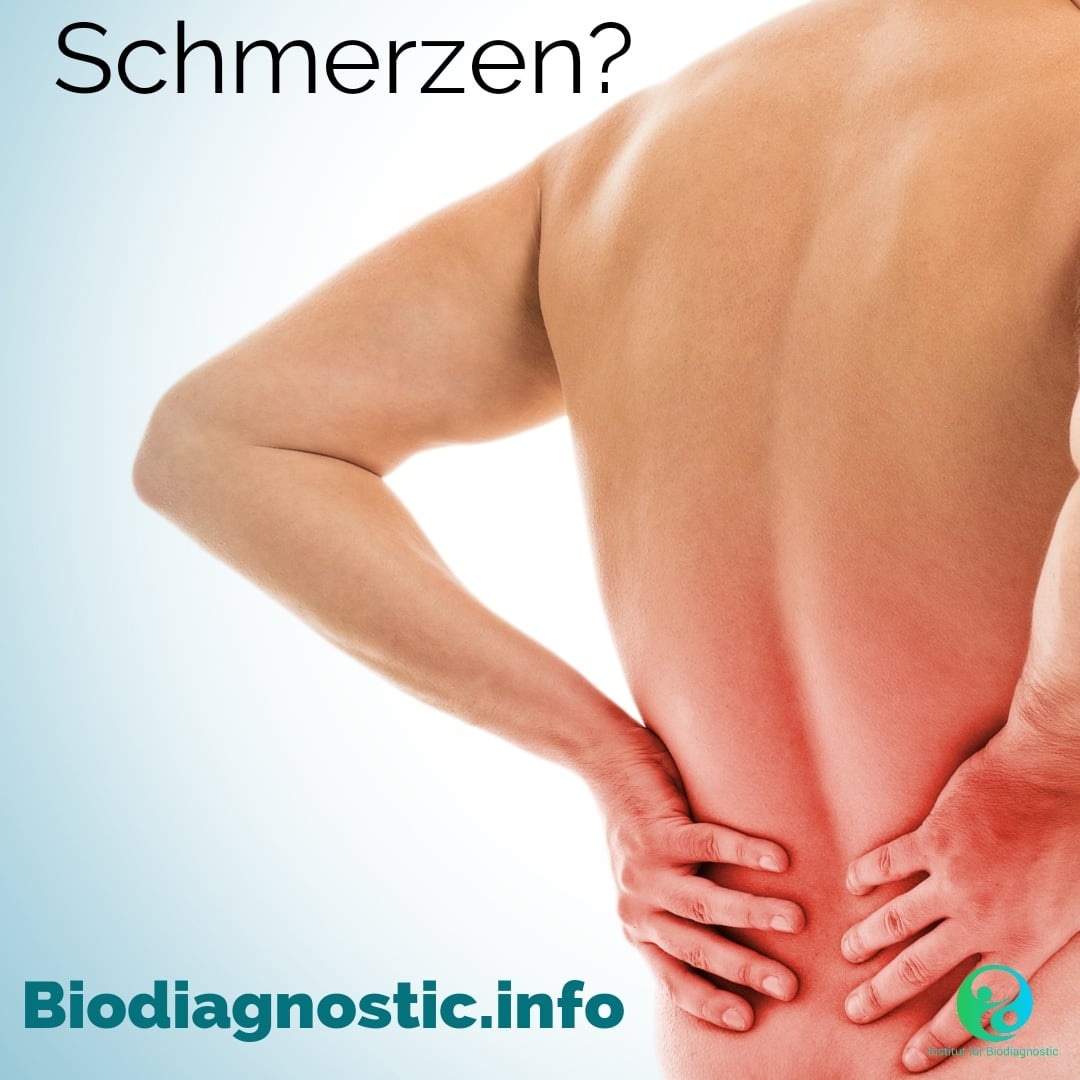 IBiodiagnostic's tweet photo. Unser neues Monats Angebot für Euch ist online! Diesmal zum Thema Schmerzen - schaut auf unserer Homepage vorbei für mehr Infos. 

#institutfürbiodiagnostic #biodiagnostic #bioresonanzwien #bioresonanztherapie #bioresonanztherapiewien https://t.co/3EEJM0SuAk