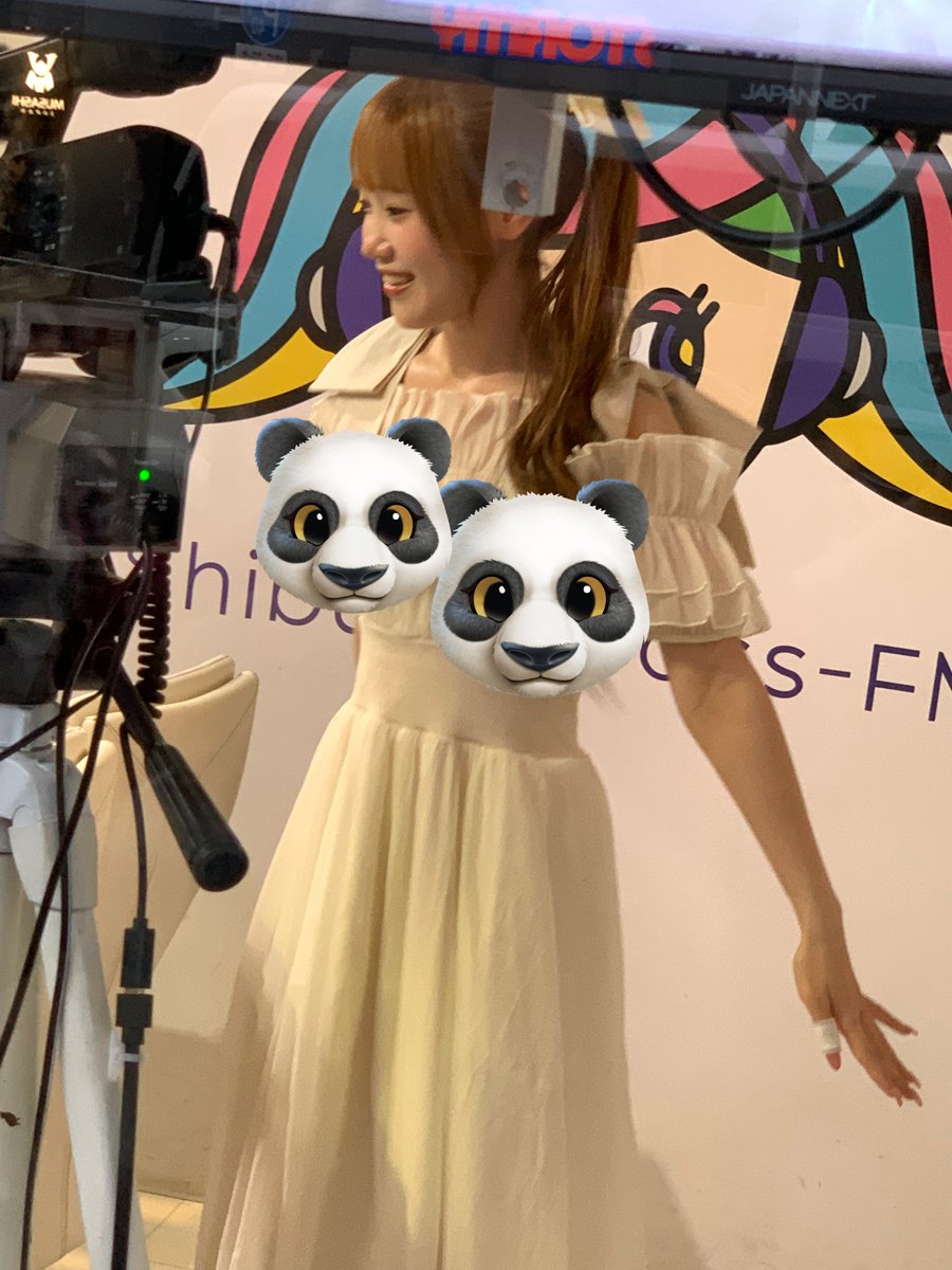 せっちゃん (@sseechan) / Posts / X