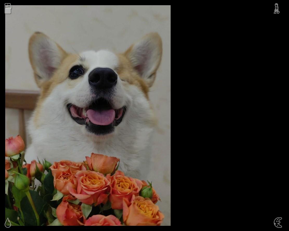 the3rdmoon's tweet photo. In a museum, I met a young Japanese artist, and we chatted using a mix of her broken English and my basic French while discussing our favorite artworks and travel motivations. 🚒 A dog is sleeping on the sofa with someone. https://t.co/neKW4z3Ri7