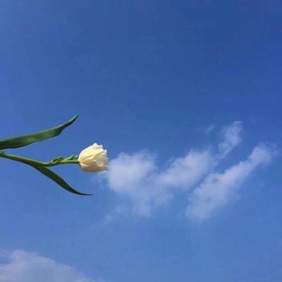 ostubo0211's tweet photo. 学会原谅自己，不完美也没关系。   💰 🌞 https://t.co/lMsqk00wbn