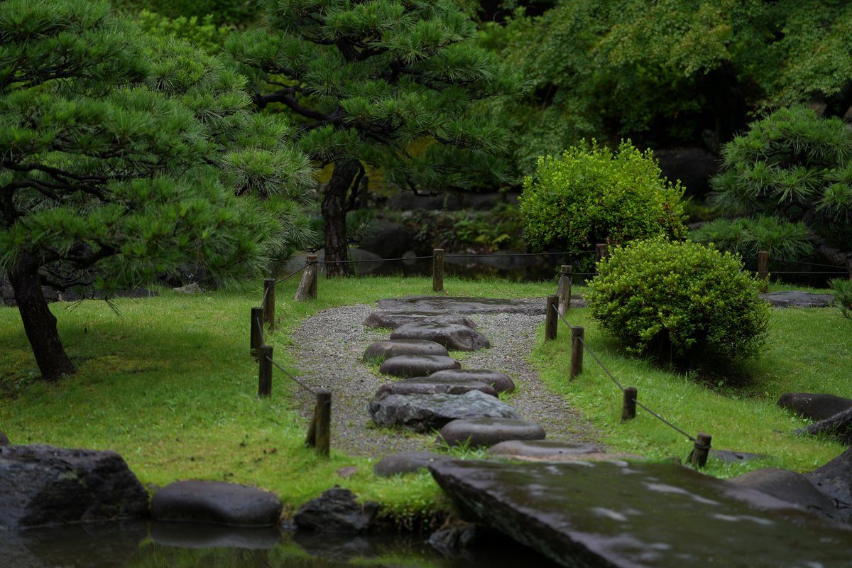 Hello3755221's tweet photo. 旧古河庭園の日本庭園②

雨の日の旧古河庭園へ
石灯篭や大滝、雨の雫できらめく青もみじ
そして、風情あふれる飛び石の小径
曇り空や雨だからこそ、木々の青々とした美しさと
日本庭園の奥深い魅力がぐっと引き立った感じがしました
#旧古河庭園 #日本庭園 #梅雨 https://t.co/yQPSDA91aP