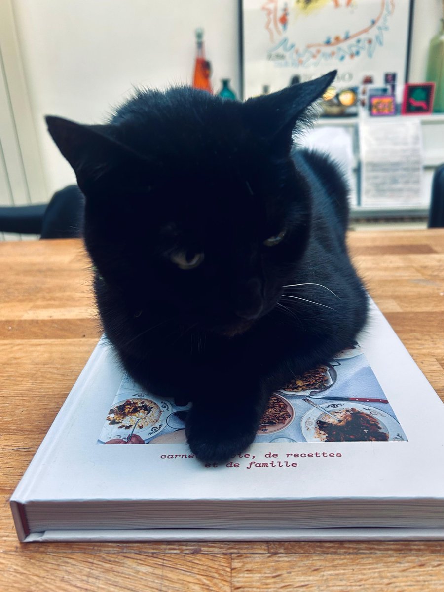 FBB_Officiel's tweet photo. 🐱 Gina, 14 ans
La FBB adresse ses condoléances à Olivier Benkemoun, dont le chat a péri sous un TGV.

Le journaliste Olivier Benkemoun a perdu Gina, ce mercredi 1er juillet, à la gare de Lyon. Gina a réussi à s'échapper de son sac de transport (fermé) et s'est retrouvée, terrorisée, sur les voies.

Vingt minutes. Voilà le temps que la SNCF a accordé à la famille de Monsieur Benkemoun pour essayer de la sauver, avant de faire redémarrer le train. Personne n'est descendu sur les rails. Tout le monde a attendu. Le temps s’est écoulé et le trafic a repris. Gina n'a pas survécu. En outre, les agents SNCF ont osé annoncer aux passagers que la minette avait été retrouvée et sauvée, cela était faux !

Ce drame nous rappelle celui arrivé en 2023 à la gare Montparnasse, où un autre félin avait subi le même sort, face à l’impatience des agents de la SNCF.

Nous pensons à Olivier Benkemoun et à sa famille - en particulier à son fils qui a été témoin de cette scène horrible -, mais également à tous ceux qui ont vécu un drame similaire.

👉 Une plainte a été déposée et la FBB se constitue partie civile aux côtés de la famille.

➡️ Nous allons contacter la SNCF pour lui rappeler que ce protocole est insuffisant. Un véritable protocole technique doit être mis en place pour donner une chance aux animaux, ainsi qu'un accompagnement humain des familles victimes d’un tel drame, ce qui n’a absolument pas été le cas hier.