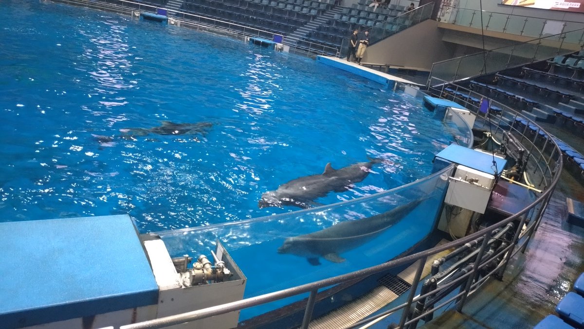 Lay_gs2's tweet photo. 半休取って水族館行ってきちゃった☆
イルカかわいい
コツメカワウソもかわいい
クラゲきれい
控えめに言って最高っ https://t.co/cxfiaXpaHO
