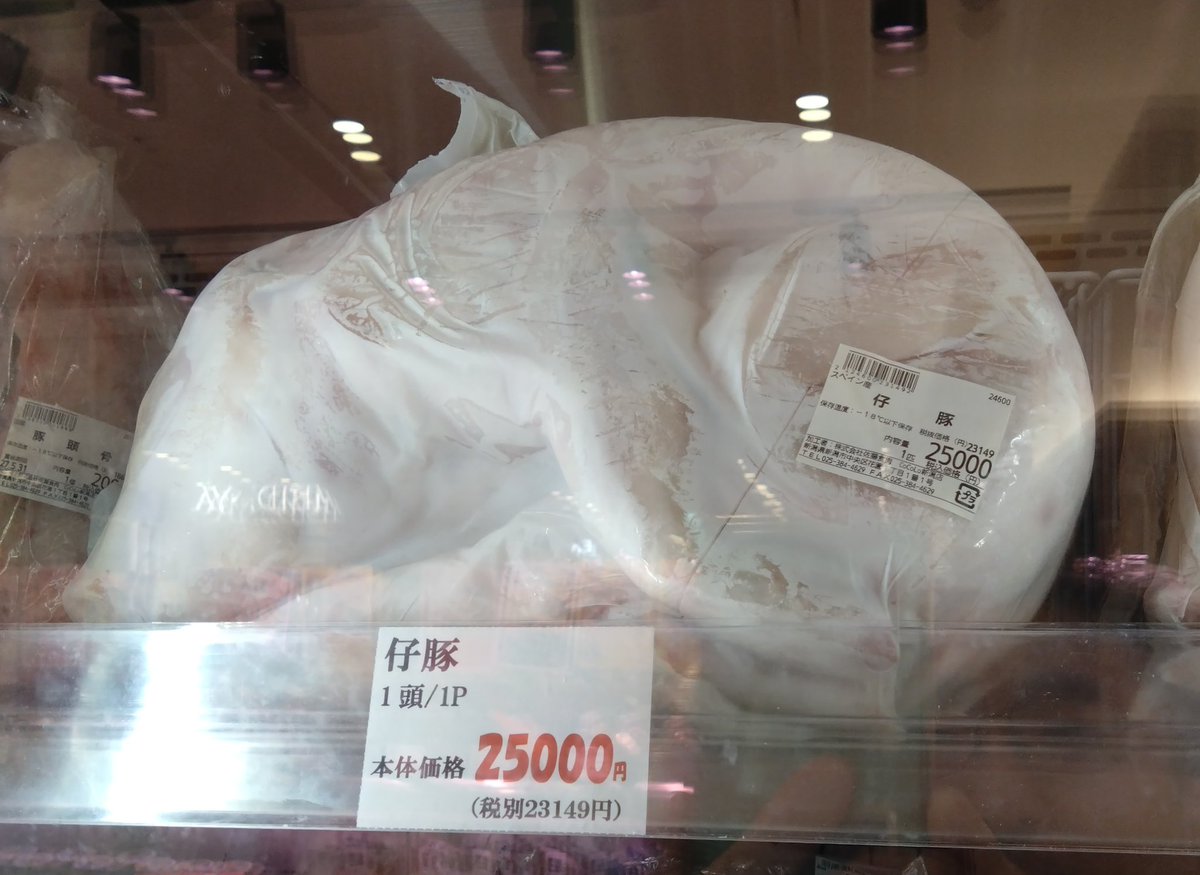 pugee0926's tweet photo. 子ブタさん25,000円で飼えるよ！ https://t.co/TbVKzmeIyZ