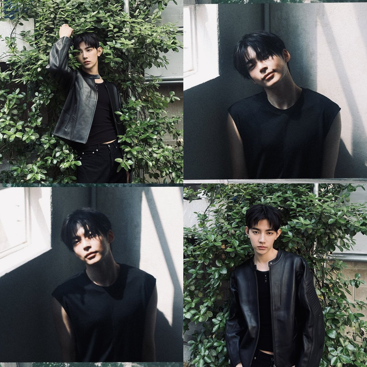 haobinmemories's tweet photo. 🍃 https://t.co/r0ZwHmggzz