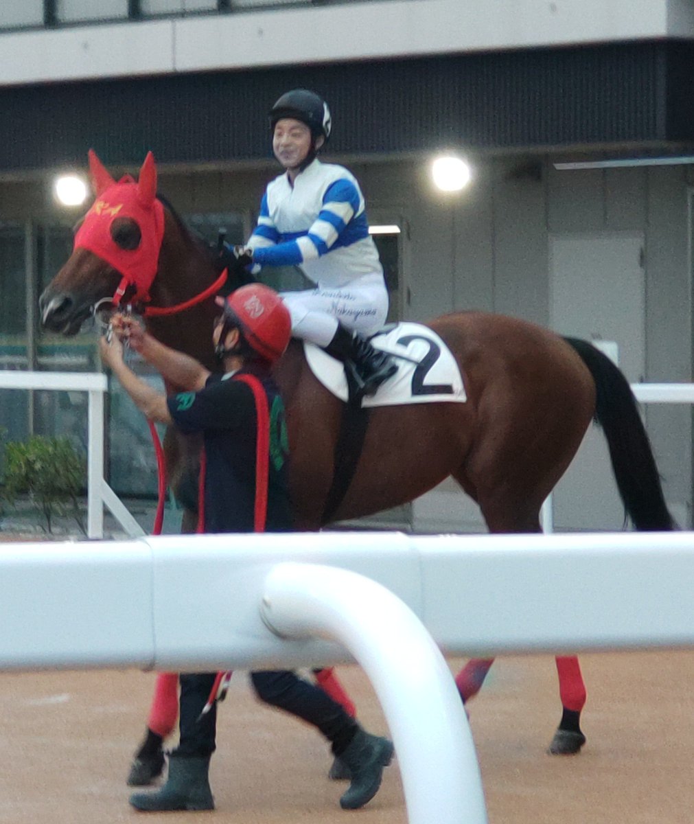 8823mako's tweet photo. レインボーポラリス
やった～🤭

口取り私だけでした😆

1日に2回口取り出来ました🤭

関係者の皆様ありがとうございます🙇‍♀️

出資者様
おたおめてす㊗️😄 https://t.co/edRzPvdS58