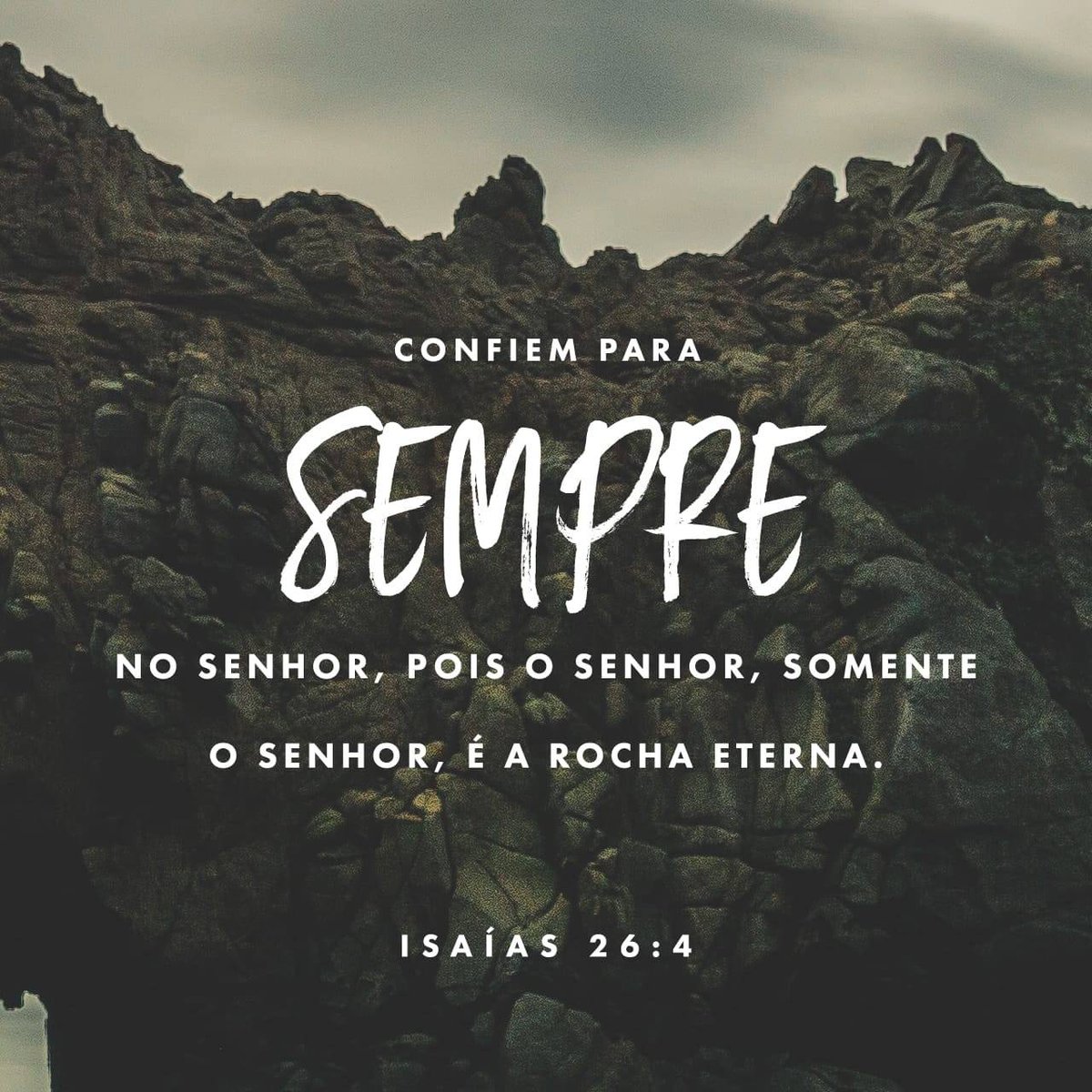 IraldoLima's tweet photo. https://t.co/IuxCg3yR0u https://t.co/s1rxjlPh5b