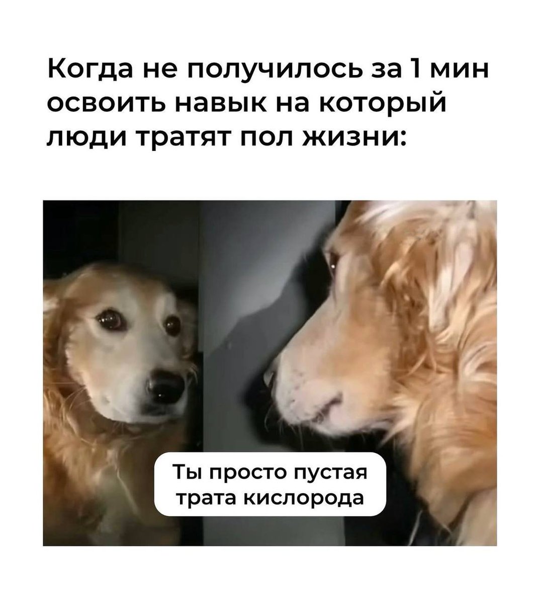 Элишкa tweet media