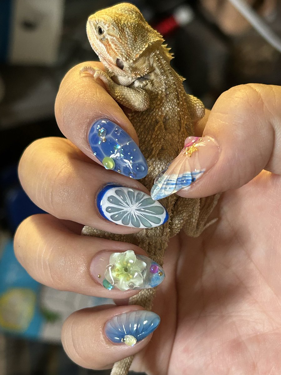 REikaMIyan's tweet photo. 今月のNEWネイル💅★*
反対の手はオレンジで激カワ🍊
ろろちゃん2ヶ月になりました😊
フトアゴの成長早すぎる🥺
ピクが出てきて可愛いねぇ🥰
#レオパードゲッコー
#フトアゴヒゲトカゲ
#爬虫類好きと繋がりたい https://t.co/WZtMJpEI76