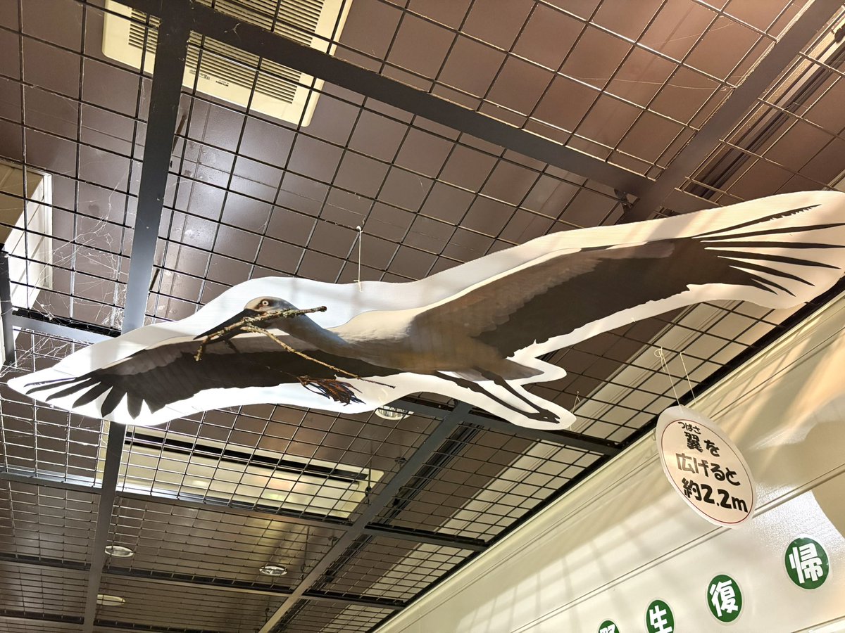 企画展「コウノトリってどんな鳥？〜世羅町で生まれる新たな生命