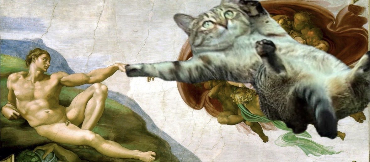 eskorbtc's tweet photo. @blknoiz06 Gslide  $slidingcat https://t.co/X0deGMVtMg