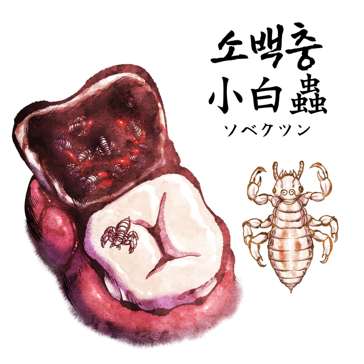 goatia666's tweet photo. 사람의 이빨에 기생하는 끔찍한 벌레.

은을 좋아하는 이 벌레는 [소백충小白蟲]이라 한다. https://t.co/5cYjsEoPNd