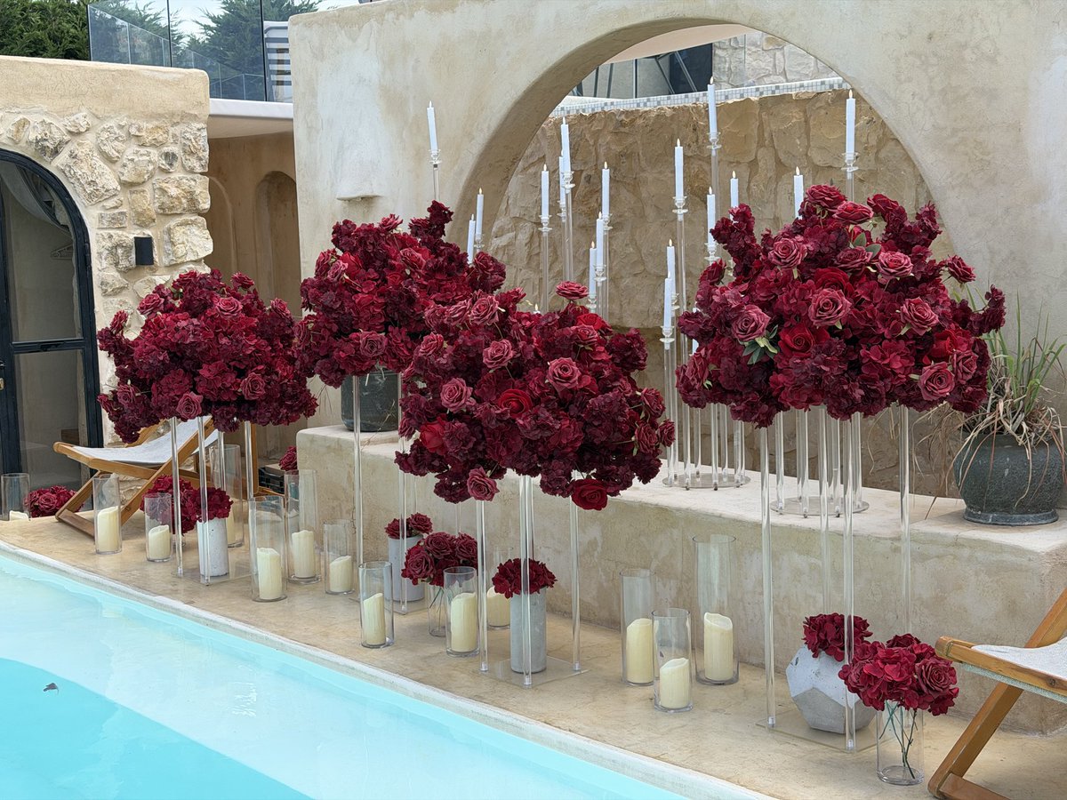 WarmIssa's tweet photo. Romance, reimagined in every petal. #zakbyzakhiaissa 
70/196275 https://t.co/JRSxCuMfzW