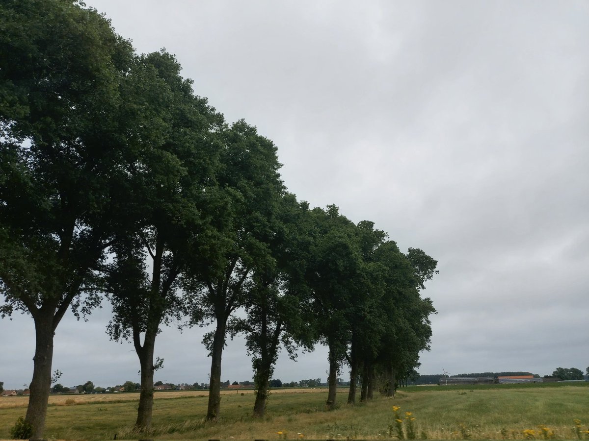 boon_jos's tweet photo. #vrtweer Jos Boon Oostkamp 11u49 https://t.co/axRnjfH463