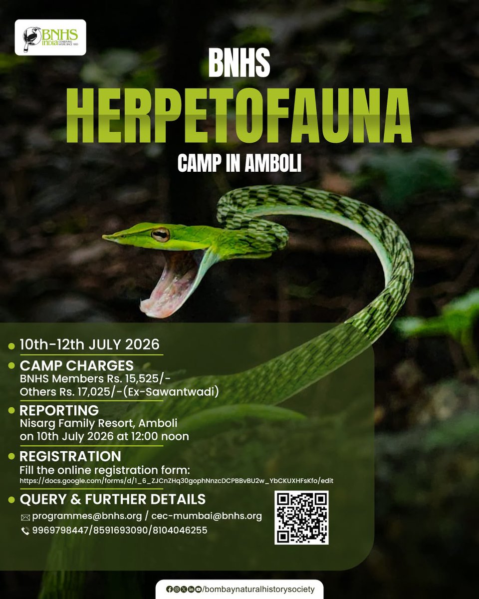 BNHSIndia's tweet photo. BNHS Herpetofauna camp in Amboli
Date: 10th- 12th July 2026

#HerpetofaunaCamp #Amboli #WesternGhats
#BNHSIndia #NatureEducation https://t.co/bowZn0gKPX