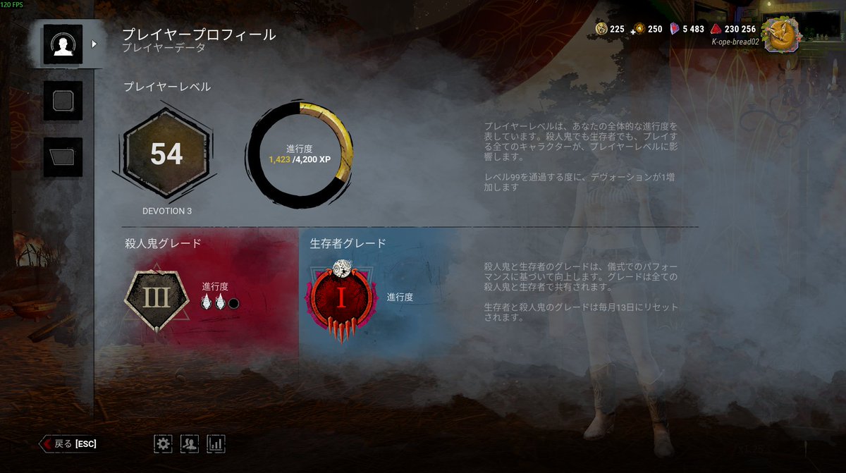 koppepanda244's tweet photo. キラーも頑張りまっす https://t.co/Gl4jTCcpI9