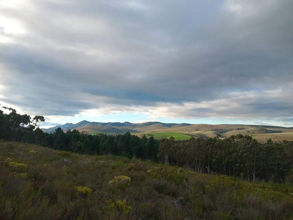 SisterBashaCSI's tweet photo. The legacy youth camp coming up end of the month. We are only accommodating grade 12 learners this year @SisterBashaCSI https://t.co/6ZPQPaMYqH