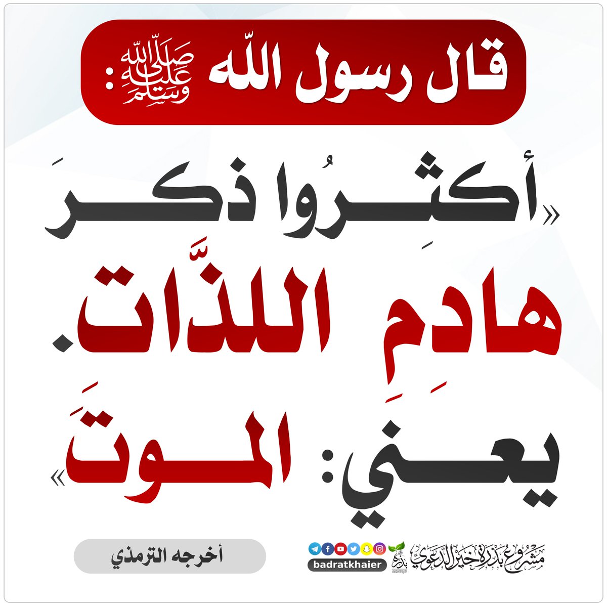 بذرة خير tweet media