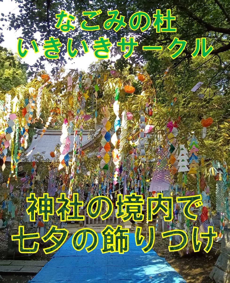 cabletv_koga's tweet photo. 6月30日に八千代町の「なごみの杜いきいきサークル」が、鹿嶋神社の境内で七夕の飾りつけを行いました！厳かな境内を彩る美しい七夕のシンボルを、7月3日号のまちトピDaysでご覧ください！
#ケーブルテレビ
#八千代町
#サロン https://t.co/LAkTBZt230