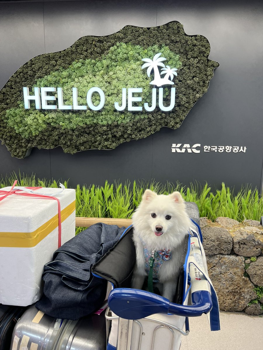 ooll901lloo's tweet photo. 제주도 데리고 가면 ㅋㅋㅋ 여기 어디? 불만 가득한 사진 얻을수 있습니다 ㅋㅋㅋㅋㅋㅋㅋㅋㅋㅋㅋㅋㅋㅋㅋㅋㅋㅋㅋㅋ https://t.co/zBnmOyvHGa