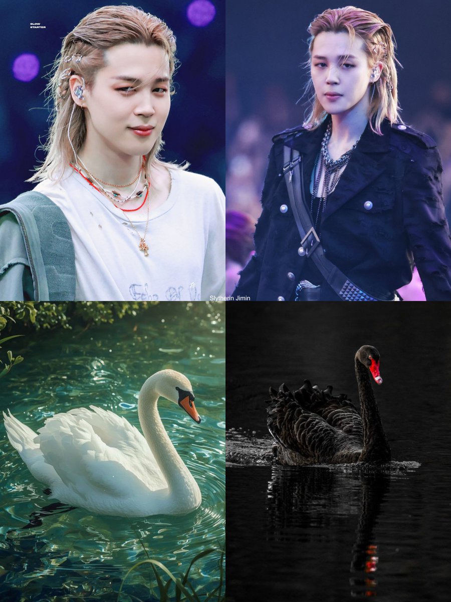 jimin_lil_devil's tweet photo. White 🤍🦢.                                    Black 🖤 🦢 https://t.co/pLqVYqJiwg