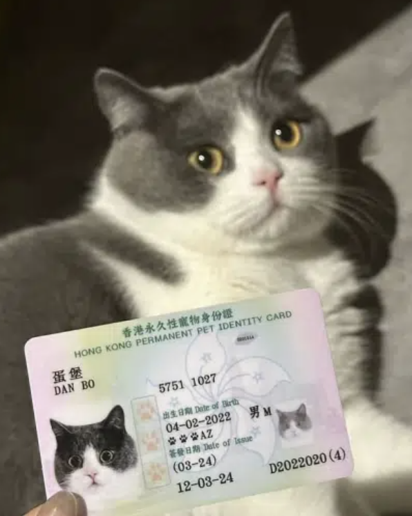 onlywithx's tweet photo. The duve made a post saying that having doxxed people promoting meme coins will save them,  

This led to a bunch of accounts doxxing themselves,

There is a whole argument on X and it just got it's own trending page.

In light of that, here is this Doxxed Cat.

https://t.co/uQ4Y07eU8m

https://t.co/EL0ERCrCt9