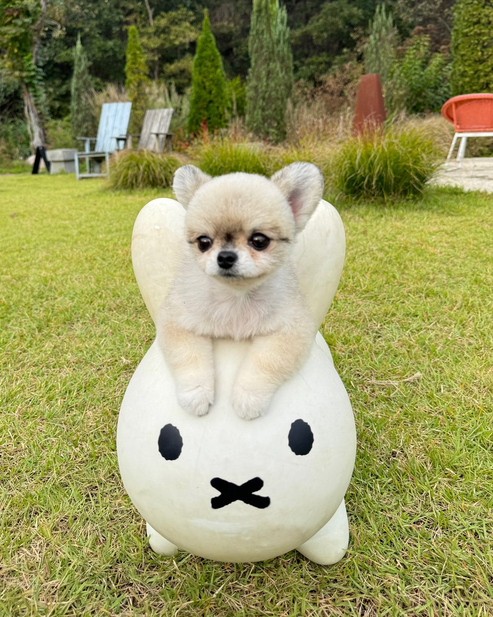 CH_CHUN9HA's tweet photo. 여러분 그럼 앞으로도 
울 큰언니 많이 사랑해주시고
노래 많이 들어주시고 
아껴주시고 성원해주시고 격려해주시고
신경 써주시고 두루두루 보살펴주시고
박수도 많이 보내주세요

#ARAN #아란 https://t.co/tFvwTPCxEq