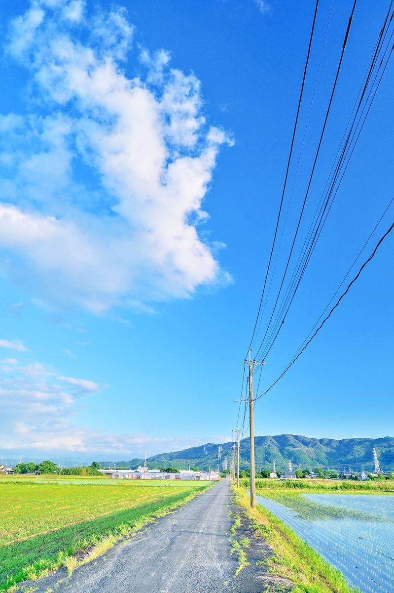 XBmBR0QytL03WsH's tweet photo. 田舎の散歩道 https://t.co/QTnZN3nyW7