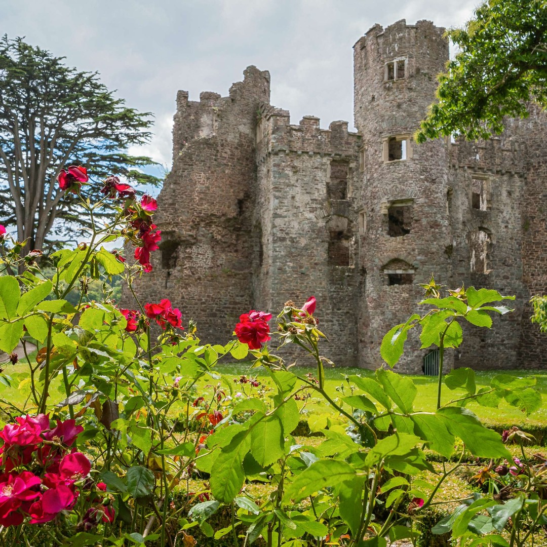 cadwwales's tweet photo. History isn’t just in the stones — it’s in the landscapes too. 🌿

From wildflowers in ancient ruins to seabirds circling coastal castles, nature and heritage live side by side here.

What have you spotted on your visits? https://t.co/rAQlLJCqQN