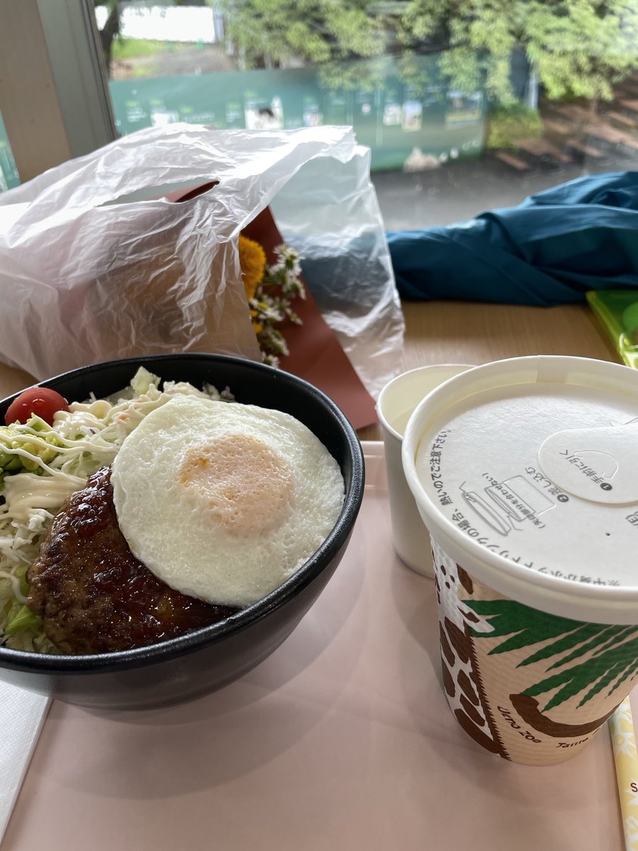 ひー🌱 (@heepan219) / Posts / X