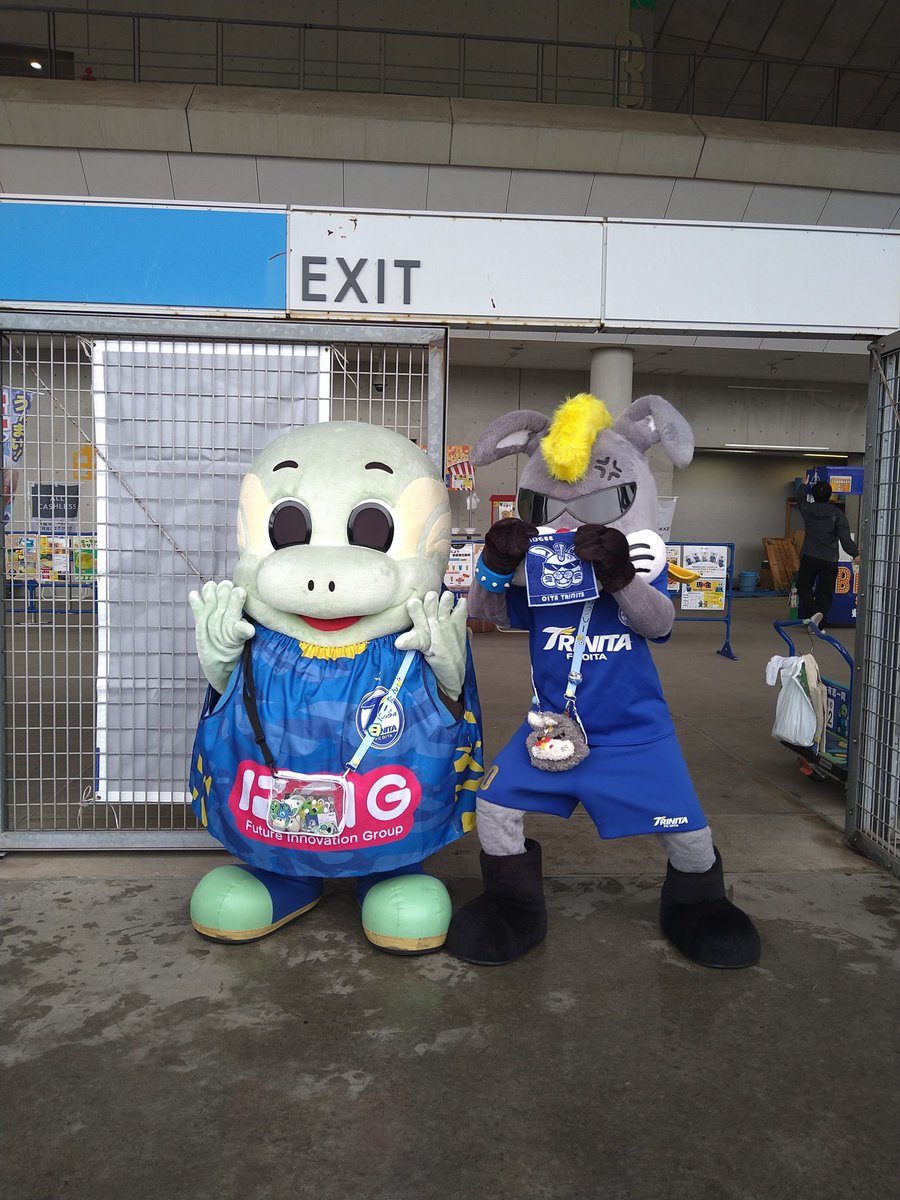 pilorinn's tweet photo. ニータンおなじみのユニフォーム🐢👕
当たるといいな〜 https://t.co/qUXdlHycDO
