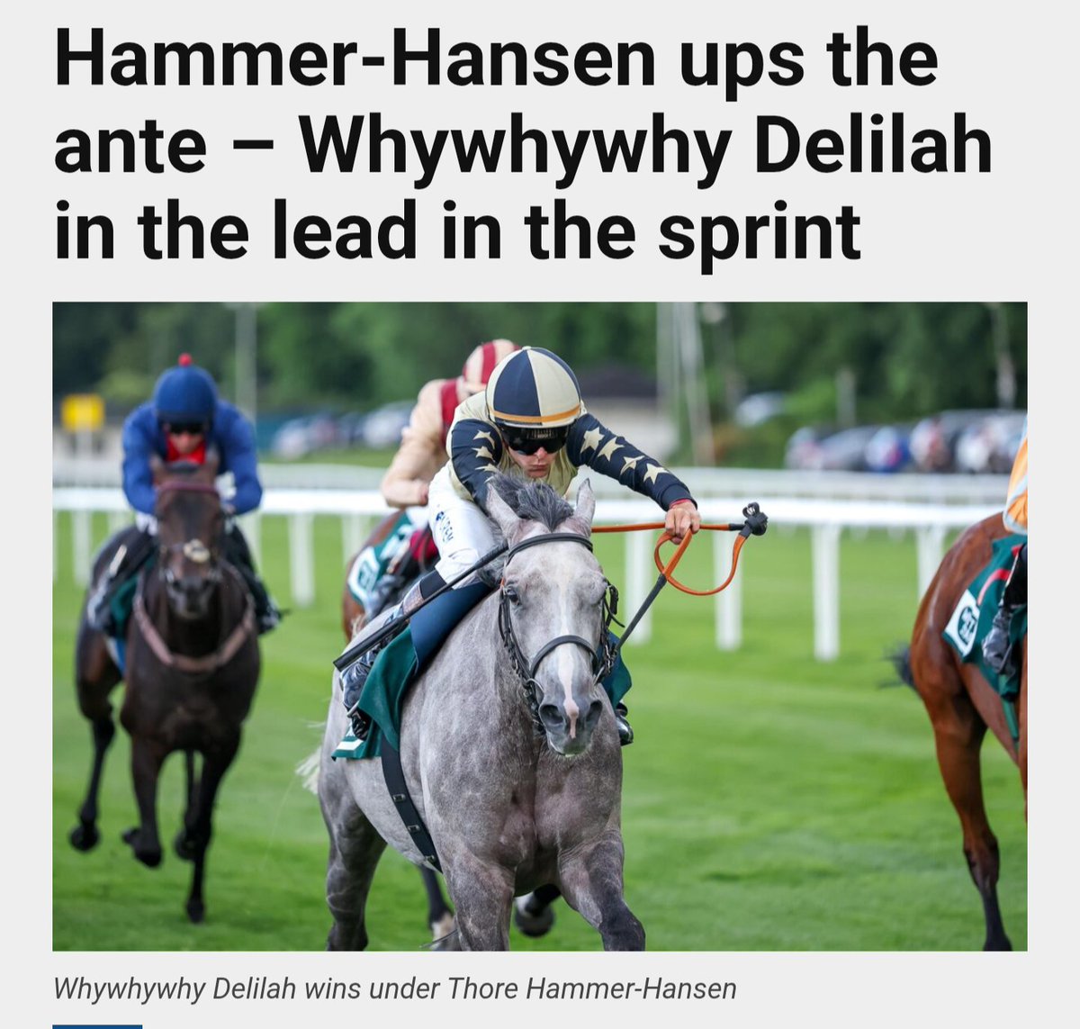 GregSaveall's tweet photo. Whywhywhy Delilah wins again, this time at Hamburg. @ThoreHammer 

Breeding winners 🏆💪🏻 https://t.co/GG0n8NkDOH