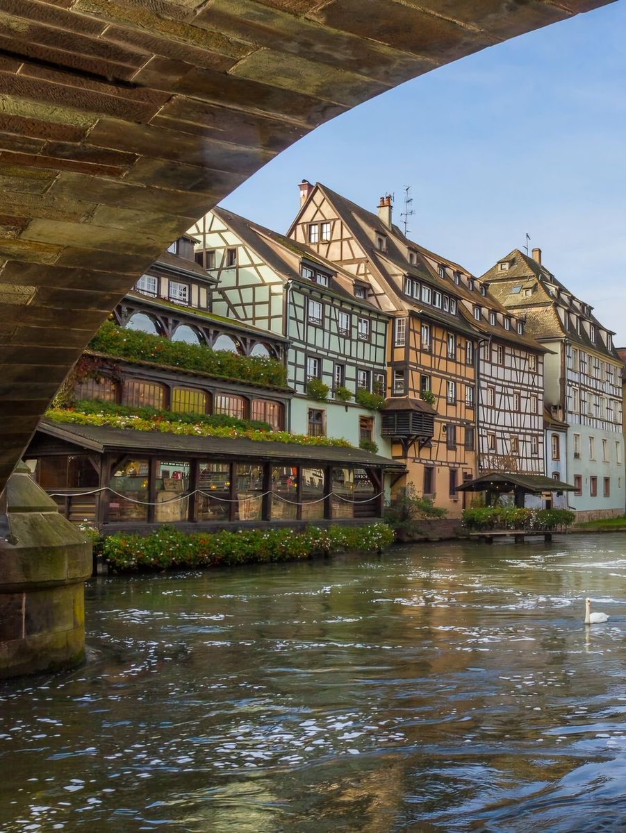 naturehealyou's tweet photo. Strasbourg, France https://t.co/Sb8SF11TDe
