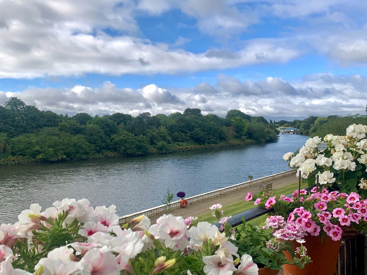 ruths_gallery's tweet photo. Itβs a pleasant summerβs day today at Twickenham with the sun popping in and out.
#twickenham #viewfrommybalcony https://t.co/eou50GiM0w