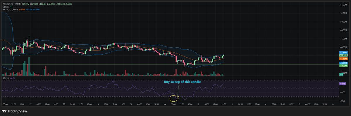 Fattyboonboon13's tweet photo. Seems like a cat meta is taking shape.... a lot of cats are popping. $Popcat looks ready on low TF? https://t.co/8UwZyxD4Rq