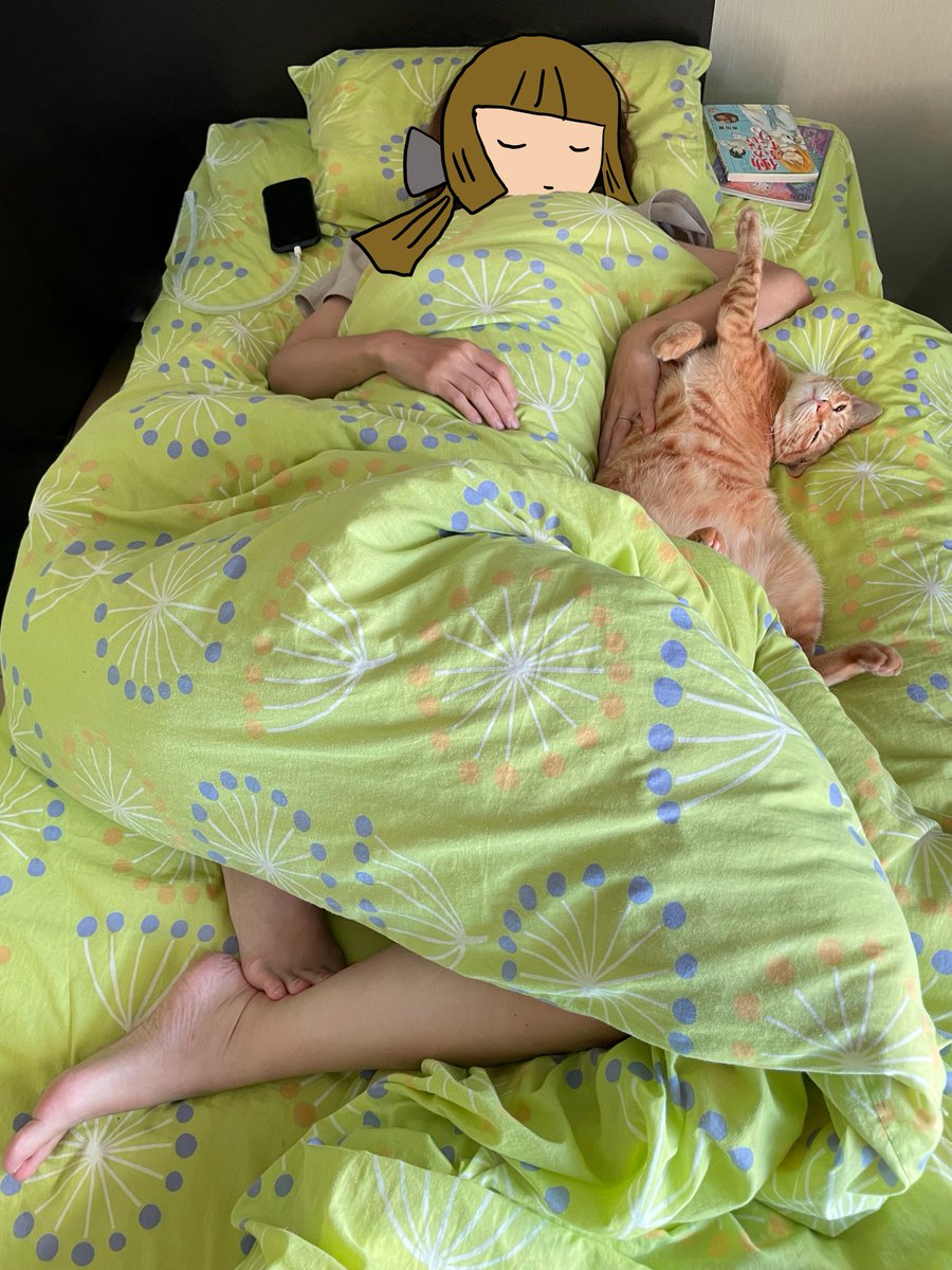 kyon_K4's tweet photo. 妻とねこの寝相 https://t.co/Wuuo3RoTtu