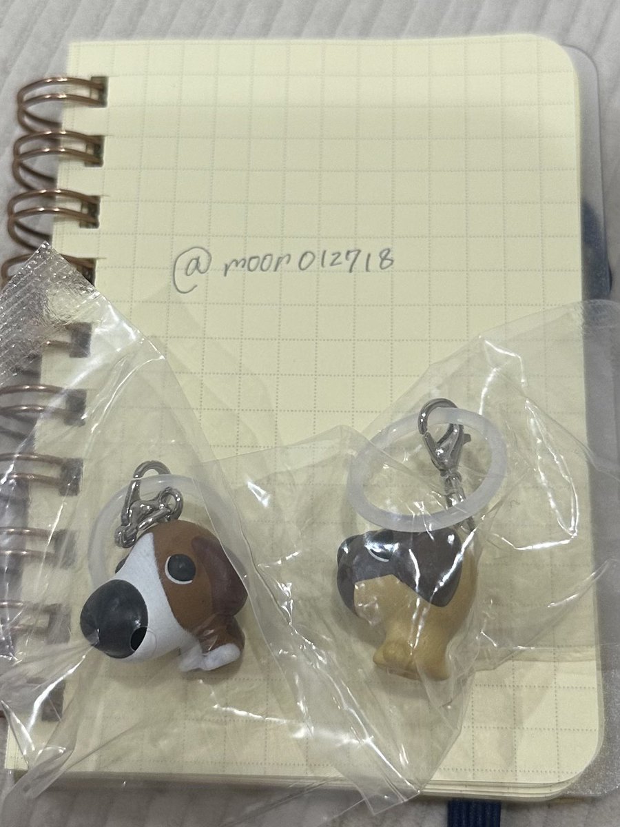 moon012718's tweet photo. “交換”
THE DOG AND FRIENDS 
ザドッグ めじるしマスコットコレクション 
めじるし めじるしアクセサリー ガチャ

『譲』　ビーグル、パグ

『求』　ダックスフントのみ

都内or仙台手渡し◎ 
郵送も可能📮
まとめてを優先させていただきます。

お気軽にお声がけください🥹✨ https://t.co/zsCxVNzURU
